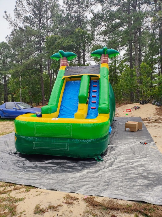 Palm tree slide