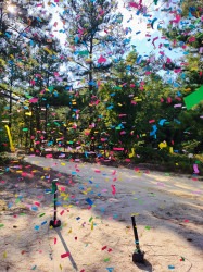 IMG 20240901 165924237 HDR AE201 1725233052 confetti cannon