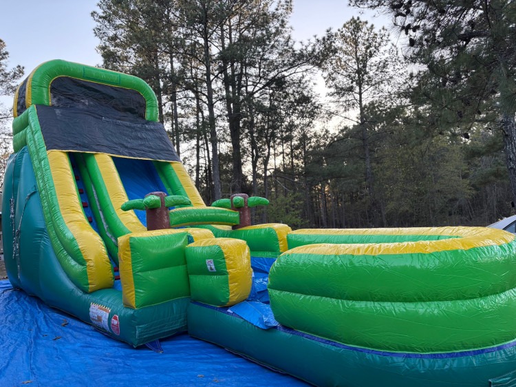 18'H Palm Tree Screamer Slide
