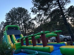 IMG 20250418 182410 1749682091 18'H Palm Tree Screamer Slide