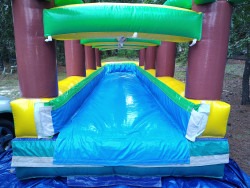 IMG 20250917 175448442 1758146479 Palm Tree Slip n Slide
